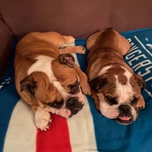 Meet your Posher, Neil